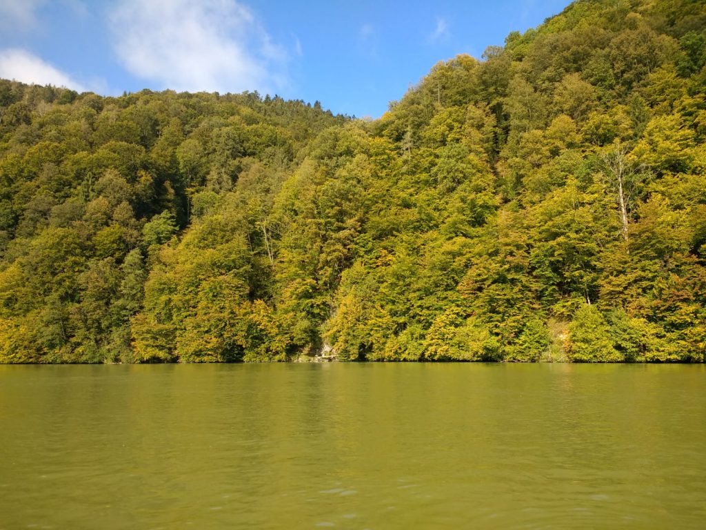Verfärbtes Laub im Oberen Donautal